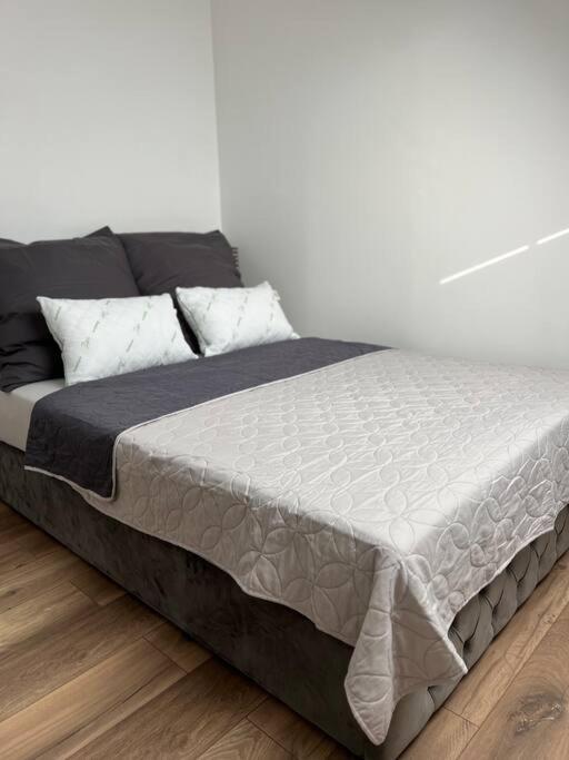 Willstaett Apartment 50M2 Extérieur photo